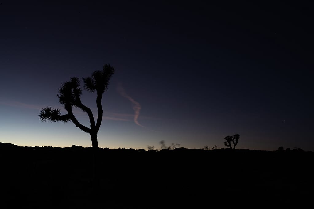 Joshua tree national park sunset california