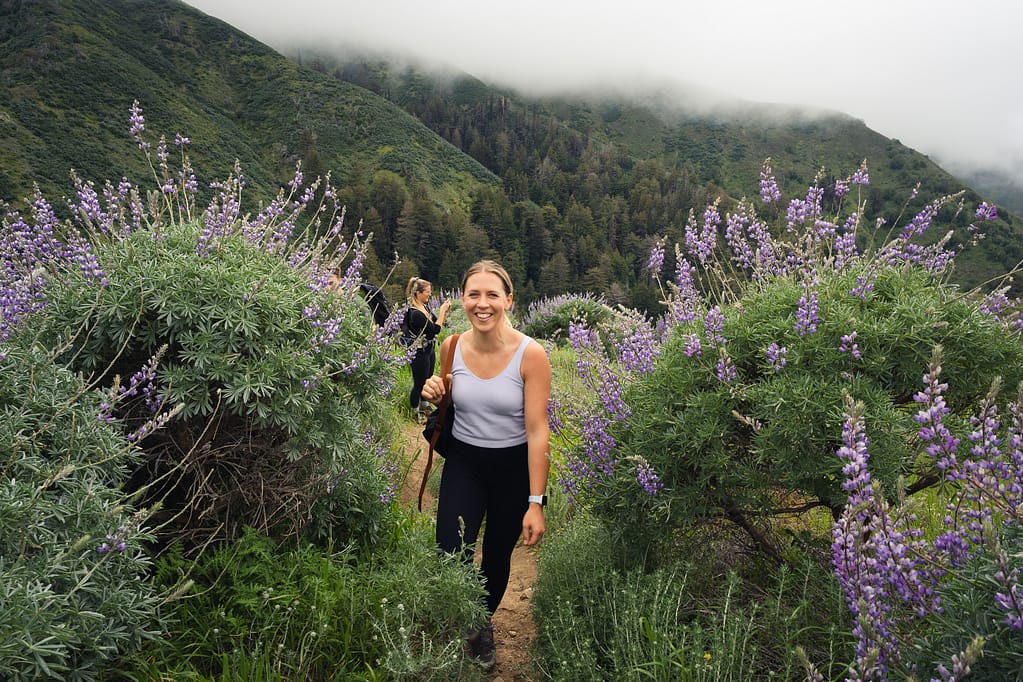 Big Sur wildflower purple garrapata California