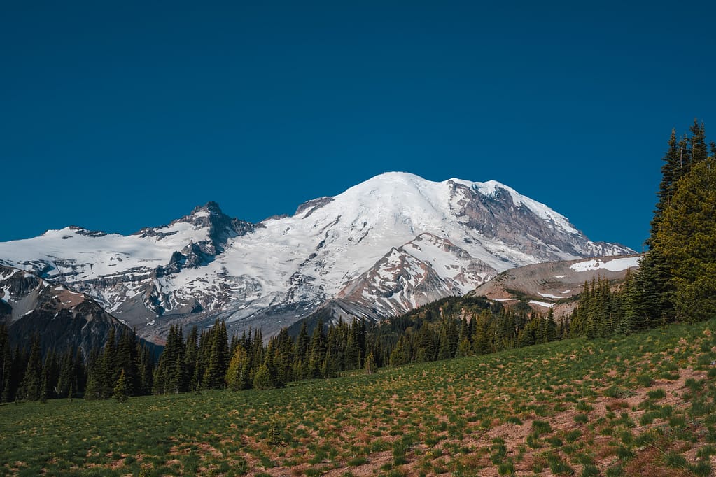 Mount Rainier national park Washington