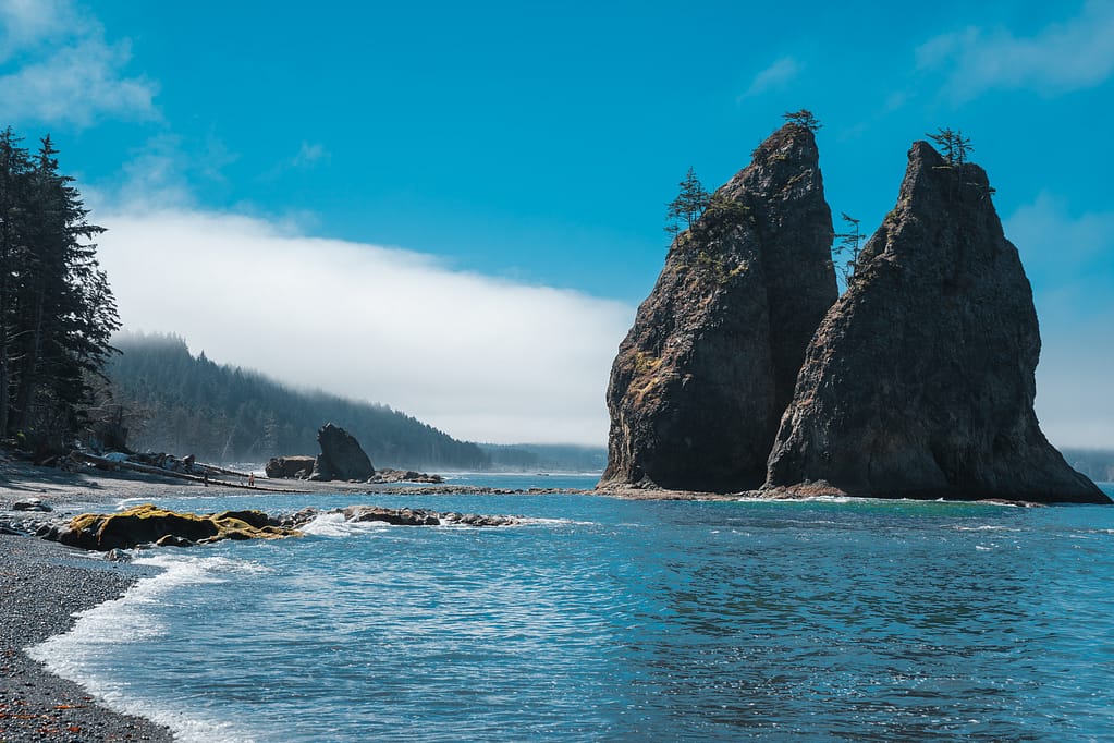 Olympic national park Pacific Northwest beach