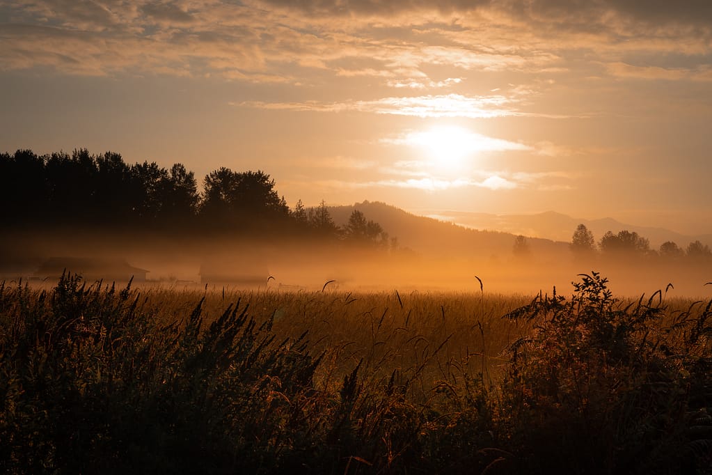 Cascade sunrise field fog haze