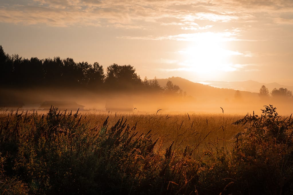 Cascade sunrise field fog haze