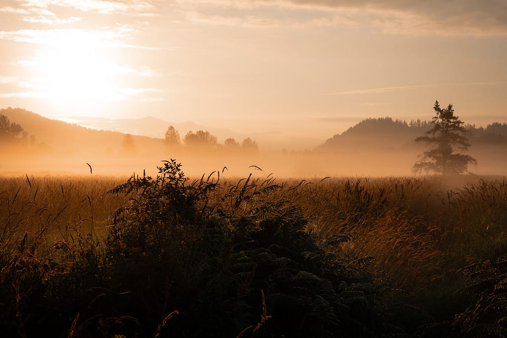 Cascade sunrise field fog haze