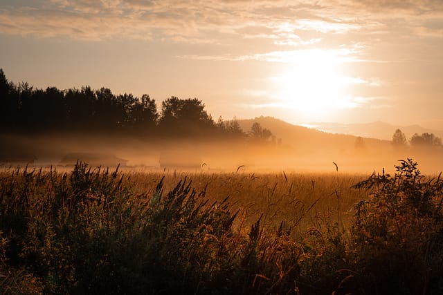 Cascade sunrise field fog haze