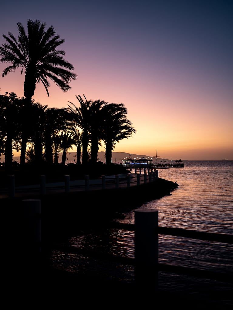 paracas peru desert sea palm trees resort sunset