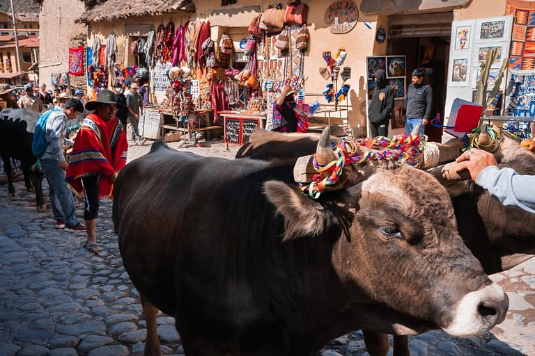 Peru South America Inca harvest festival celebration