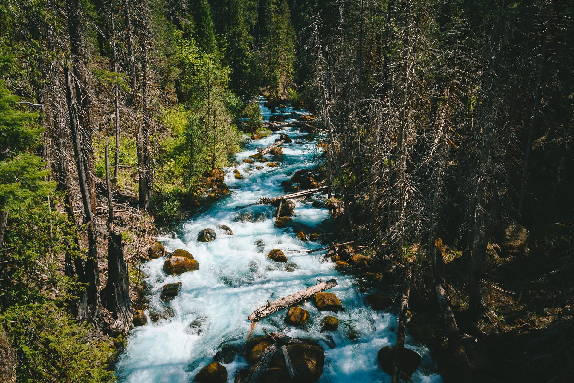 Mckenzie river Deschutes sisters Oregon bend