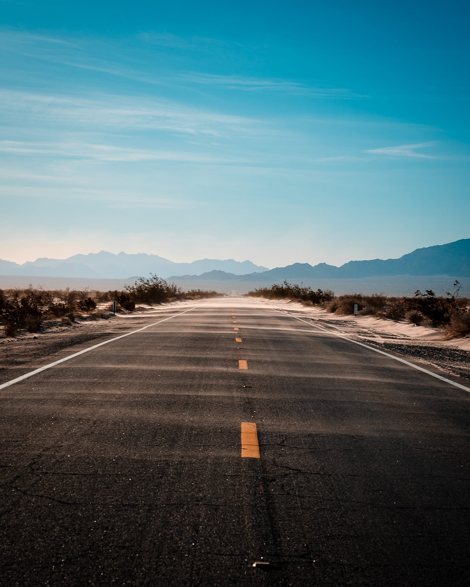 Joshua tree sand dunes wind desert California